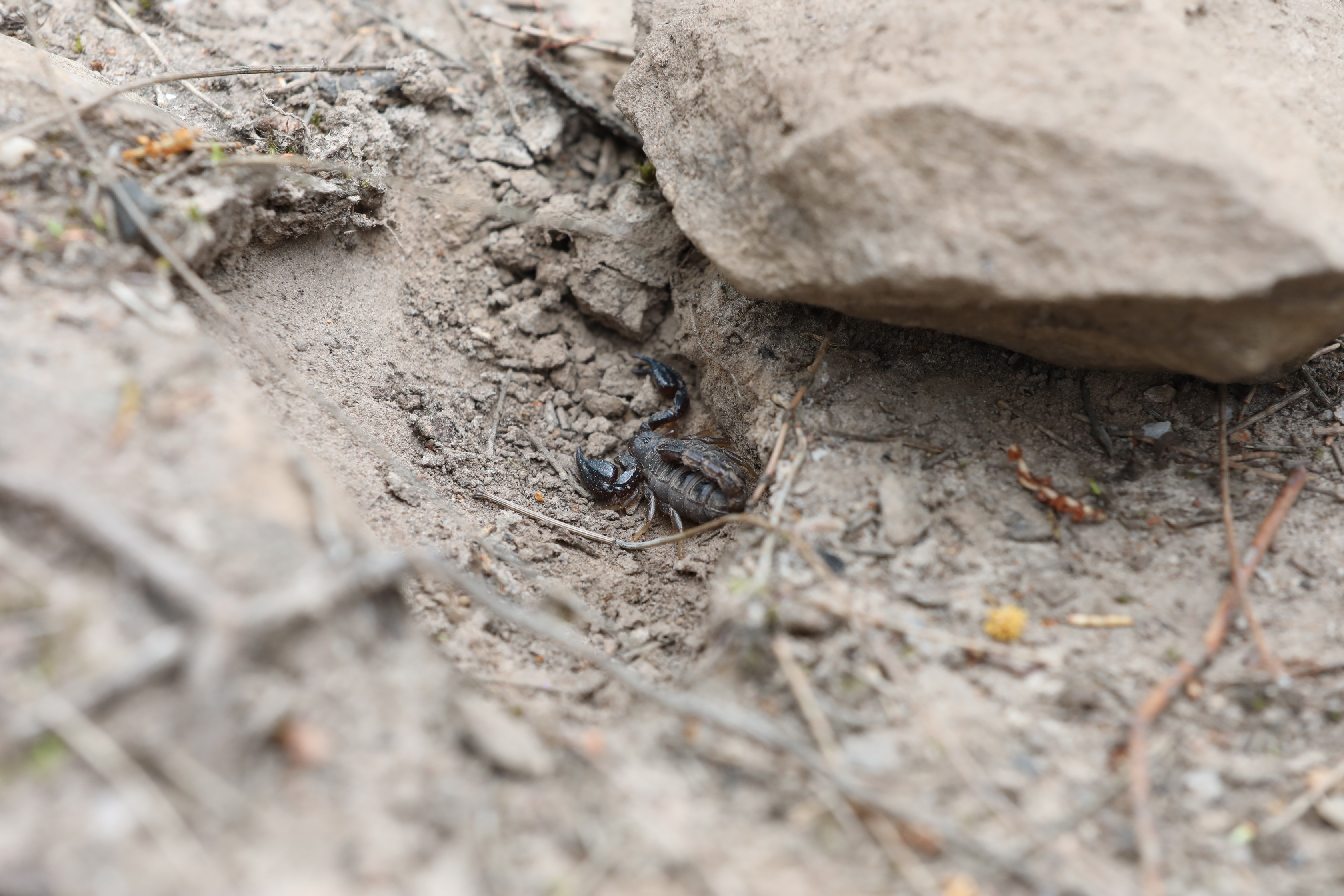 2019 10 06 13 25 38 Canon EOS 5D Mark IV 0008